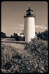 Wildflowers By Plum Island Lighthouse -Sepia Tone